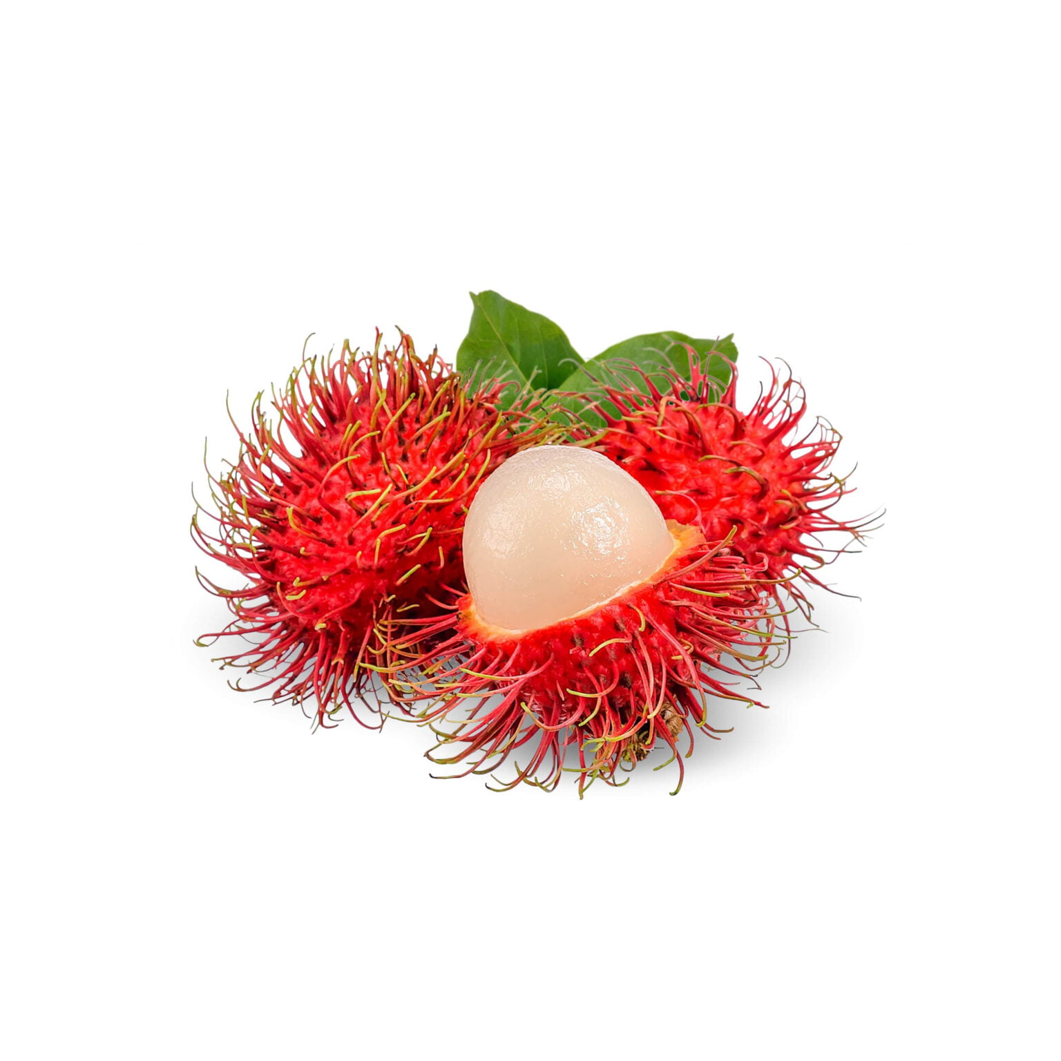 Rambutan Litchi Chevelu 1pc Little Asia rambutan-litchi-chevelu-1pc-little-asia