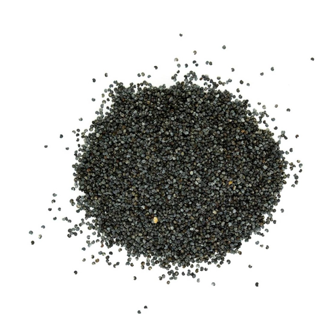 Graines de Pavot (50g) Graines de Pavot (50g) – Image 1